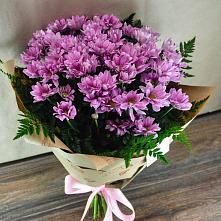 Букет цветов из:  Хризантемы #REPLACE_PRED# Монино