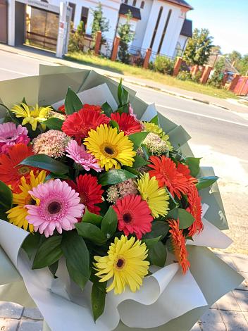 Букет цветов из: Герберы в Монино
